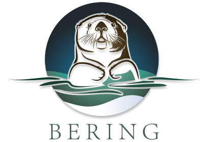 art logo bering